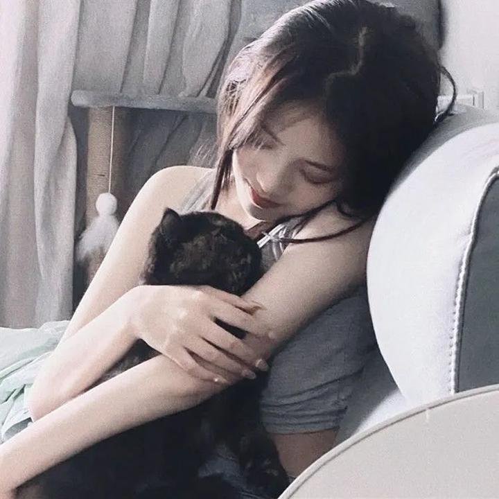 佩吉巷的火枪手